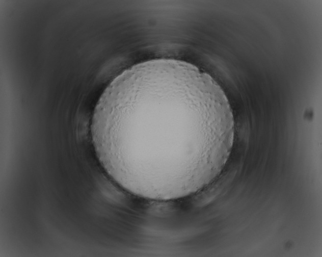 X0000101150185200807181343