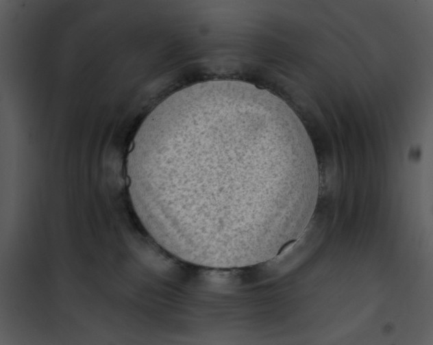 X0000101150187200807181343