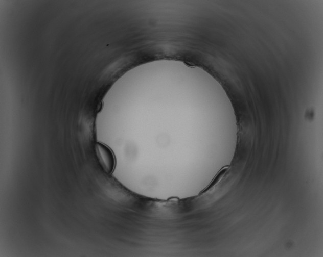 X0000101150188200807181343