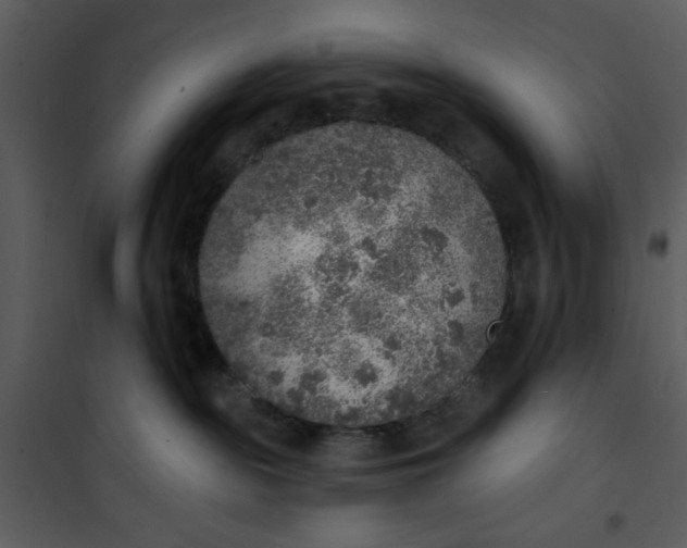 X0000101150189200807181343