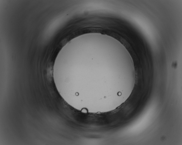 X0000101150190200807181343