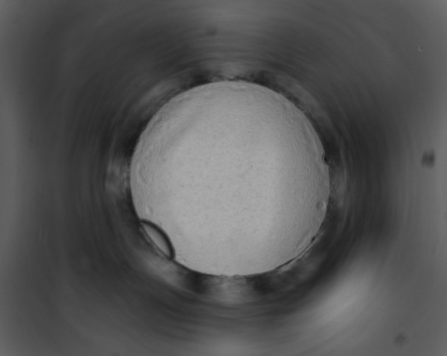 X0000101150191200807181343