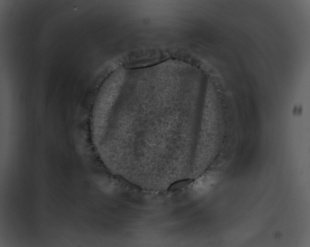 X0000101150192200807181343