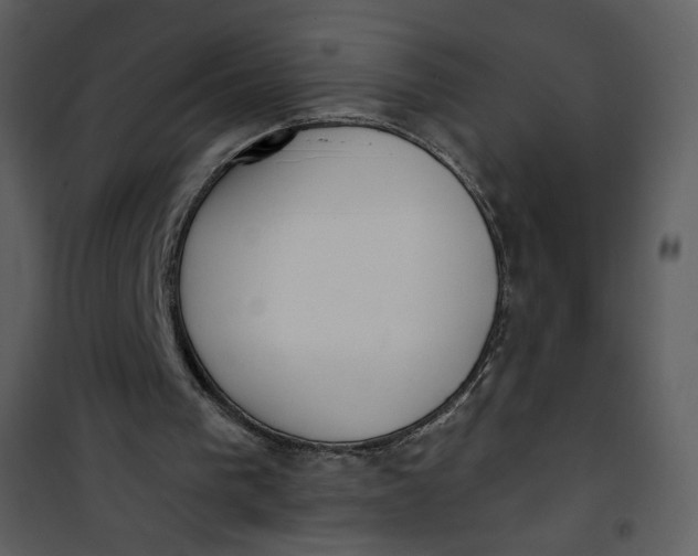 X0000101150193200807181343