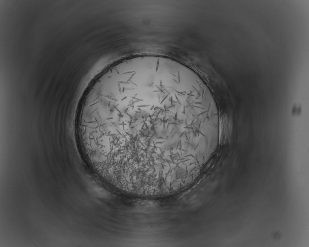 X0000101150195200807181343