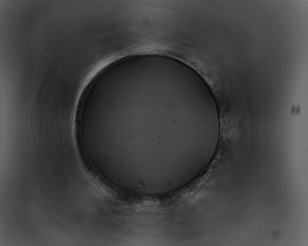 X0000101150196200807181343