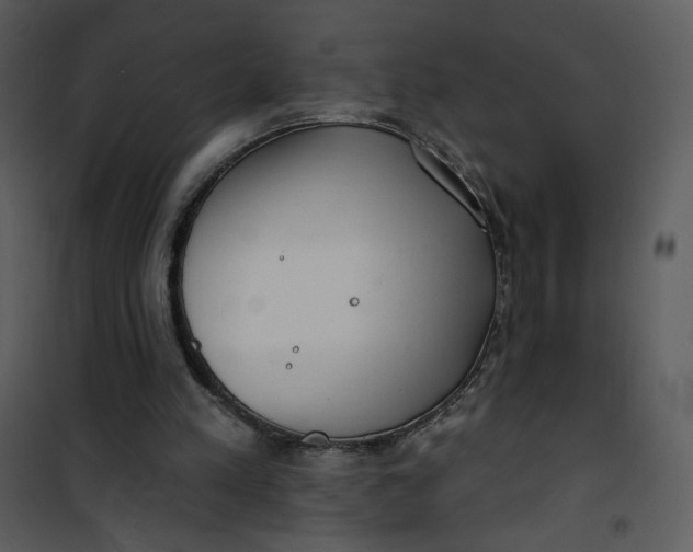 X0000101150197200807181343