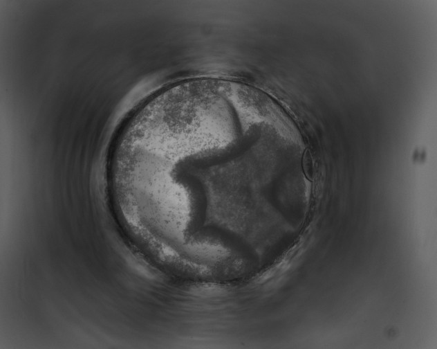 X0000101150198200807181343