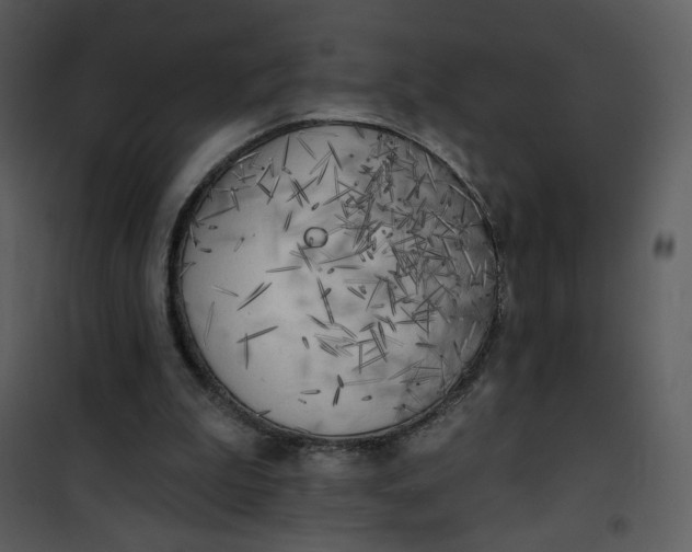 X0000101150199200807181343