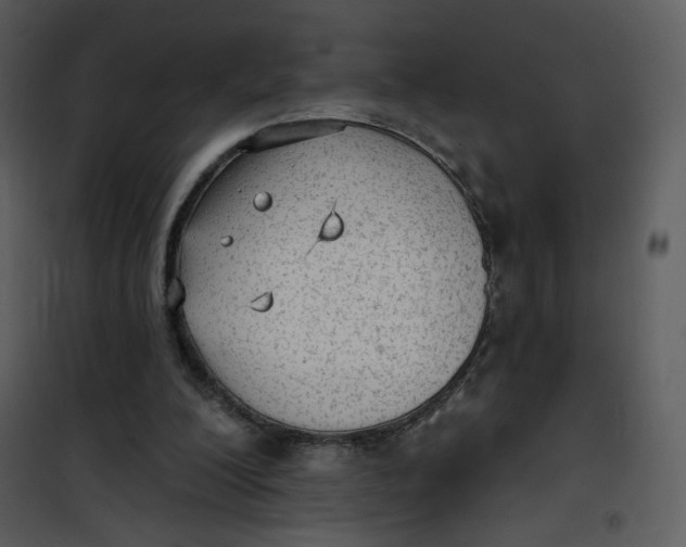 X0000101150200200807181343