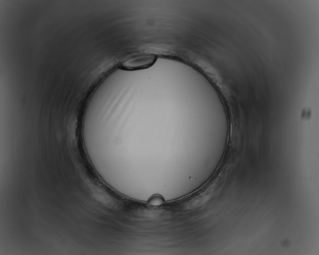 X0000101150201200807181343