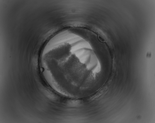 X0000101150202200807181343