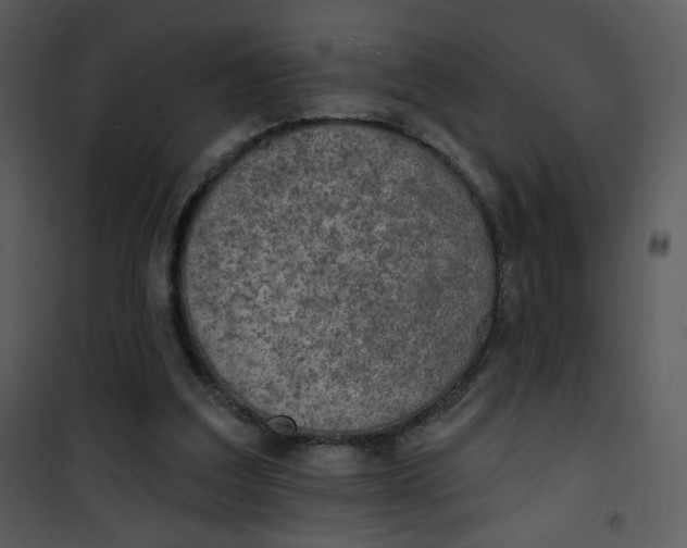 X0000101150203200807181343