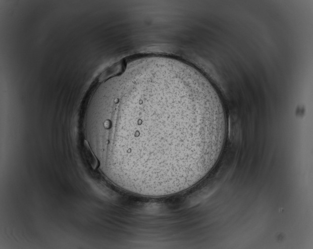 X0000101150204200807181343