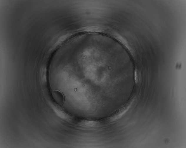 X0000101150205200807181343