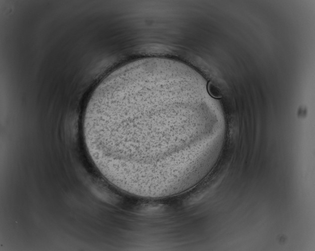 X0000101150206200807181343