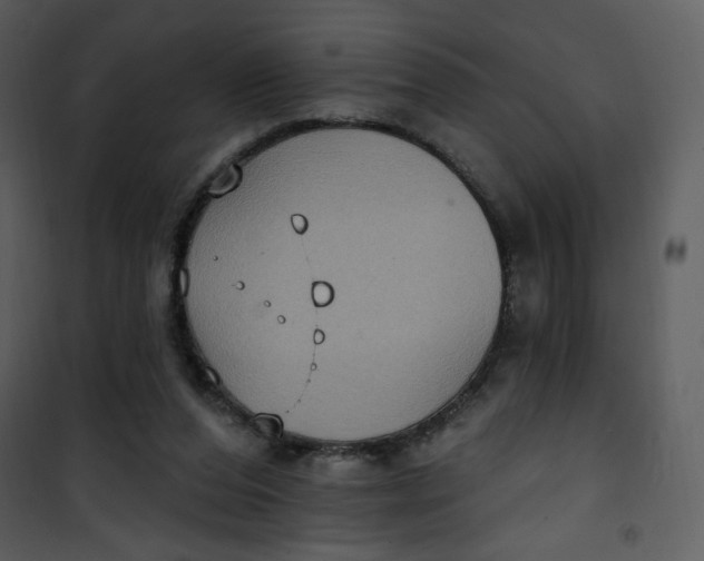 X0000101150208200807181342