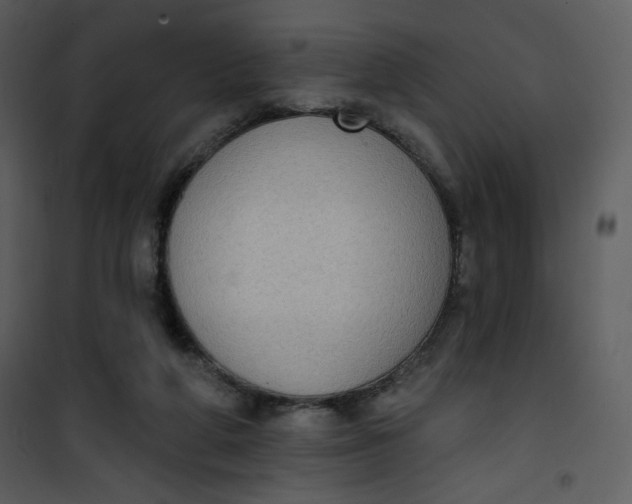 X0000101150210200807181342