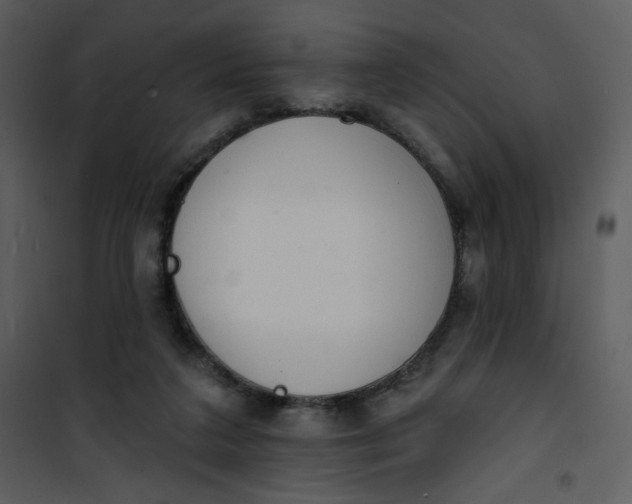 X0000101150211200807181342