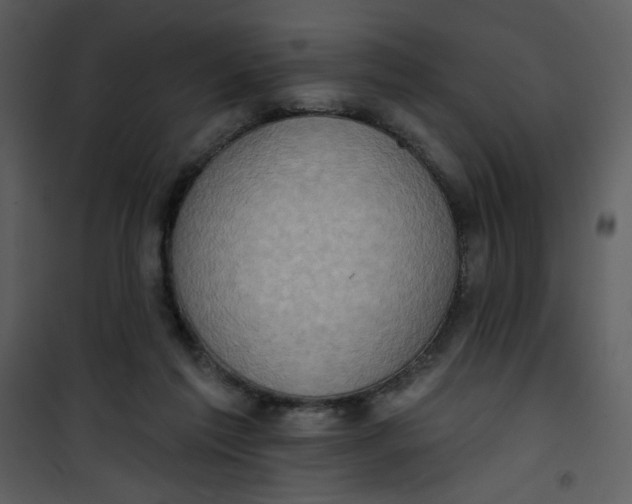 X0000101150213200807181342