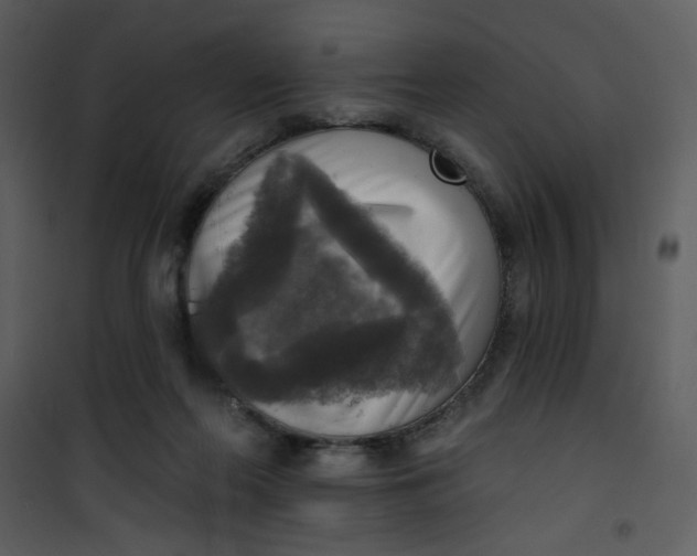 X0000101150214200807181342