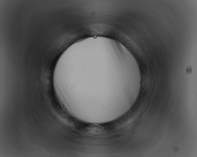 X0000101150215200807181342