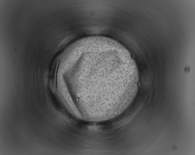 X0000101150216200807181342