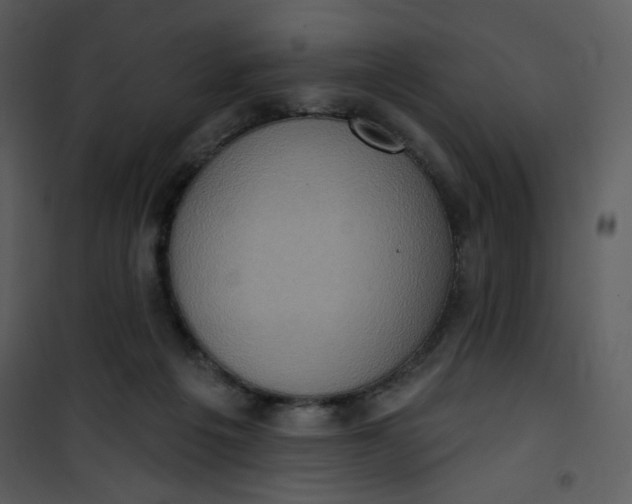 X0000101150217200807181342