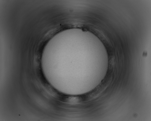 X0000101150218200807181342