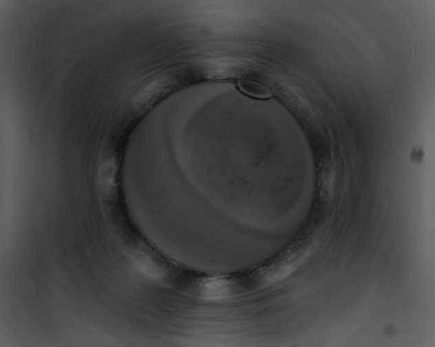 X0000101150219200807181342