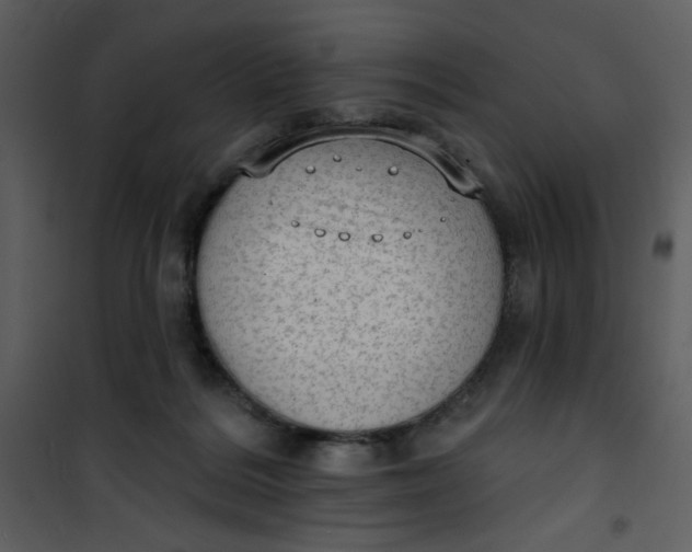 X0000101150220200807181342