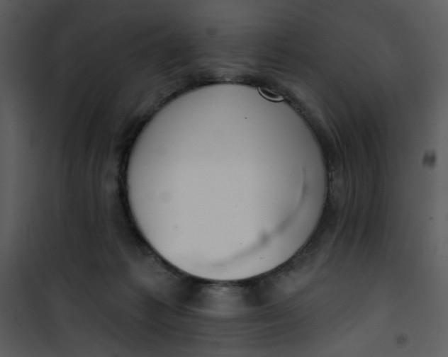 X0000101150221200807181342