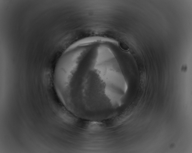 X0000101150222200807181342