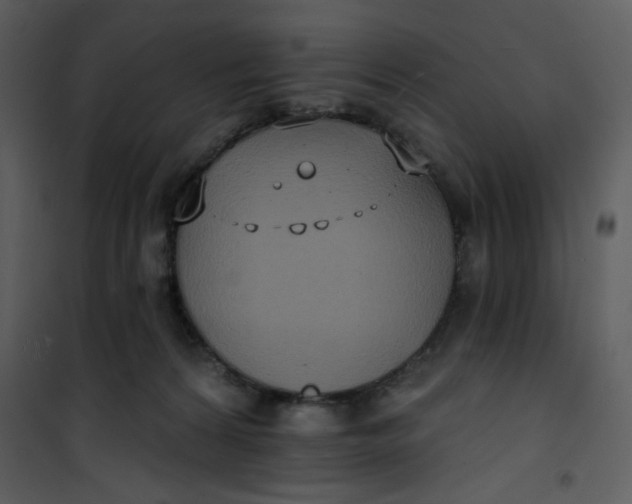 X0000101150224200807181342