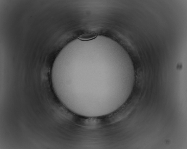 X0000101150225200807181342