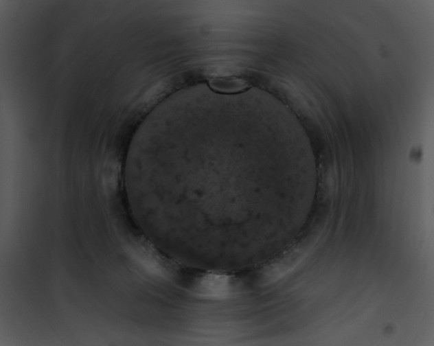 X0000101150227200807181342