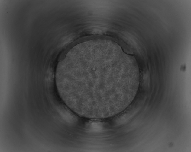 X0000101150228200807181342