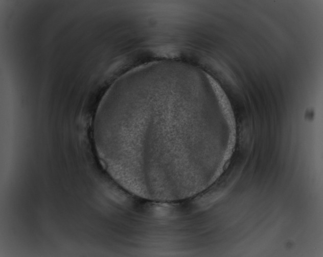 X0000101150229200807181342