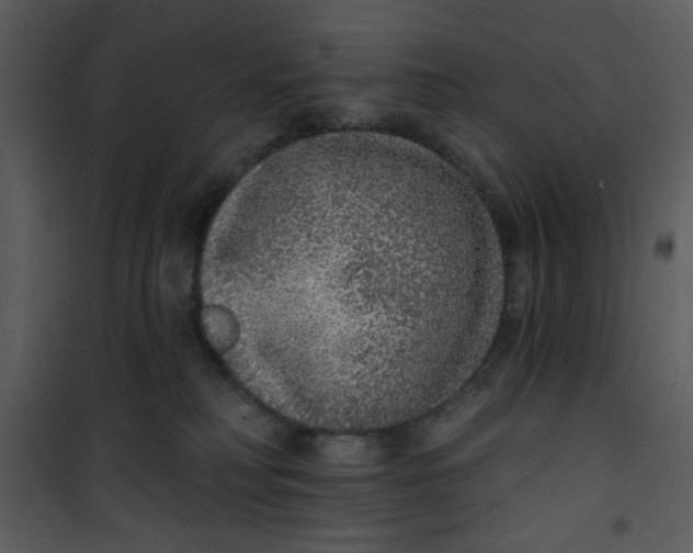 X0000101150230200807181342