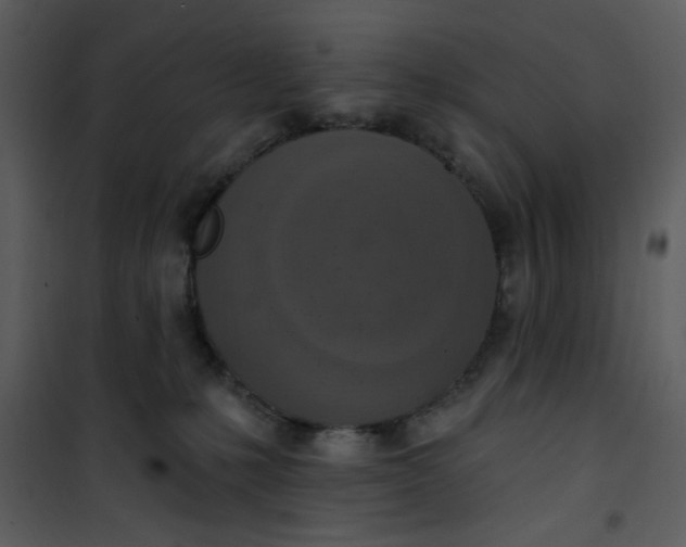 X0000101150231200807181342