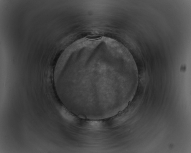 X0000101150233200807181342