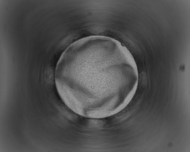 X0000101150234200807181342