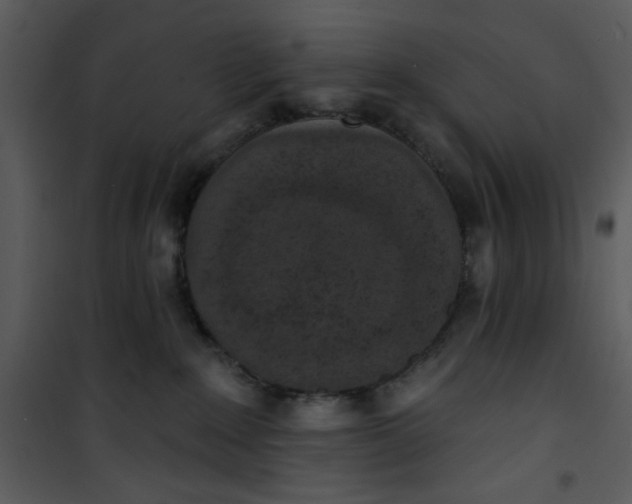 X0000101150235200807181342