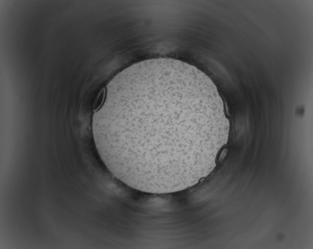 X0000101150236200807181342