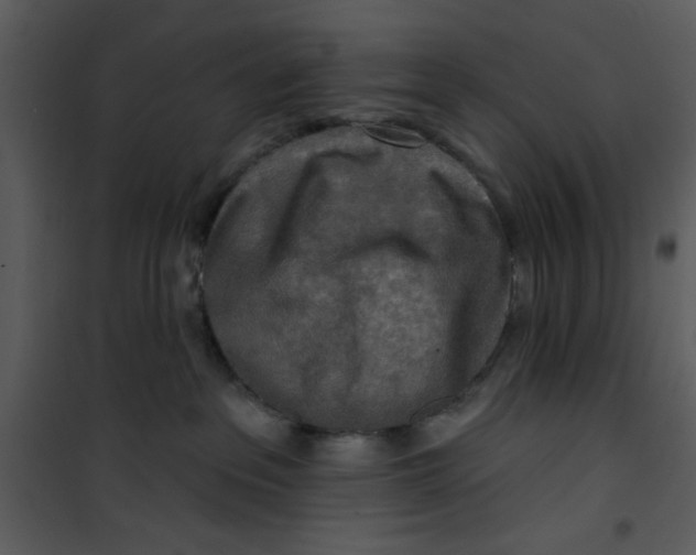 X0000101150237200807181342