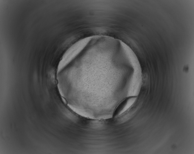 X0000101150238200807181342