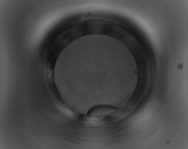 X0000101150239200807181342