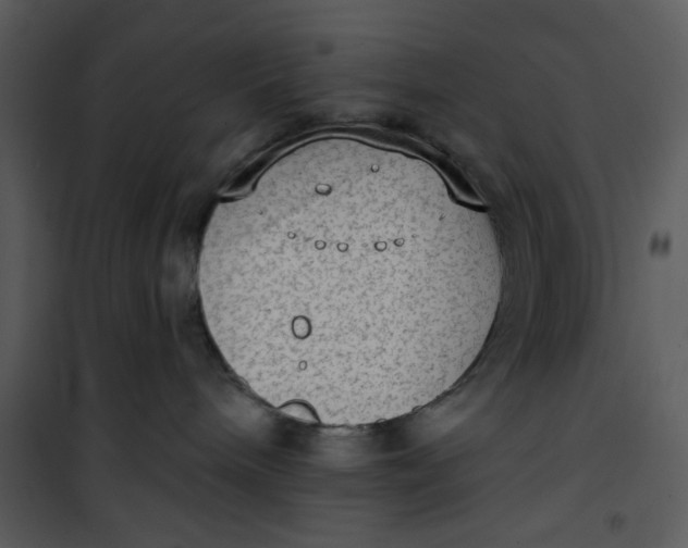 X0000101150240200807181342