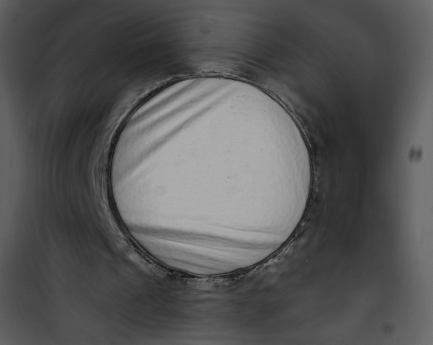 X0000101150241200807181341