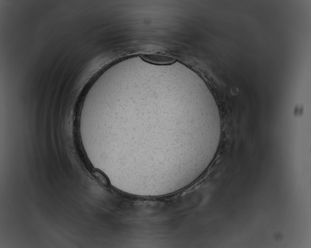 X0000101150242200807181341